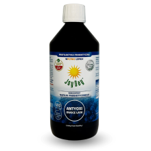 JOY DAY Koncentrat napoju probiotycznego Owoce Lasy 500 ml