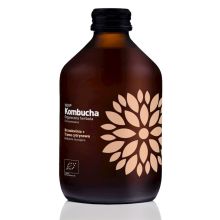 VIGO Kombucha Brzoskwinia Trawa cytrynowa 330 ml