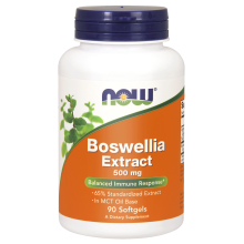 NOW Foods Boswellia Extract 500 mg 90 kapsułek żelowych