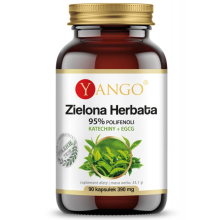 Yango Zielona herbata 95% polifenoli Katechiny + EGCG 90 kapsułek