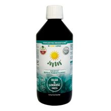 JOY DAY Koncentrat napoju probiotycznego Mięta 500 ml