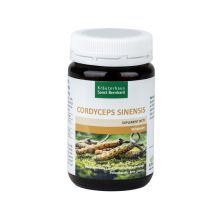Sanct Bernhard Cordyceps sinensis 90 kapsułek