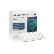 Mito-Pharma Adrenal-Intercell 120 kapsułek