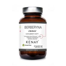 Kenay Berberyna fosfolipidowa fitosomowa Berbevis 60 kapsułek