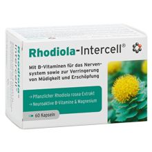 Mito-Pharma Rhodiola-Intercell 60 kapsułek