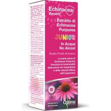 Echinacea Junior Ekstrakt z Jeżówki krople bez alkoholu 50ml
