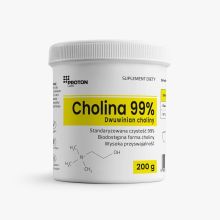 Proton Labs Cholina 99% dwuwinian choliny proszek 200 g