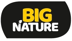 Big Nature