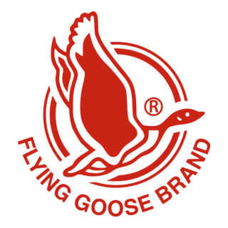 Flying Goose